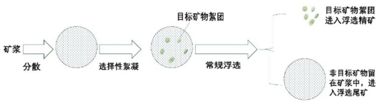 153613_317495_news.png 2.png